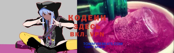 мет Балахна