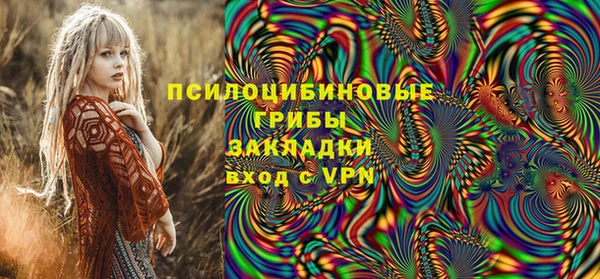 крисы Белокуриха
