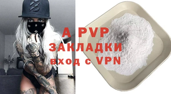 крисы Белокуриха