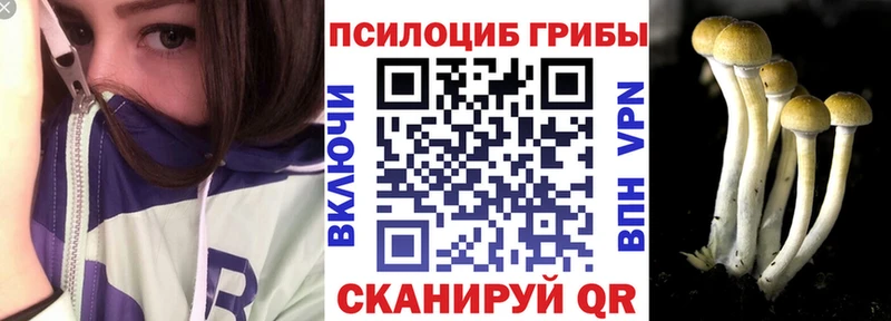 купить наркотики цена ссылка на мегу сайт Галлюциногенные грибы MAGIC MUSHROOMS Разумное